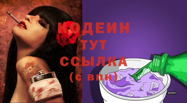 PSILOCYBIN Переславль-Залесский
